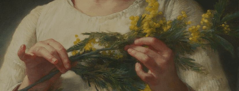 мимоза в руке