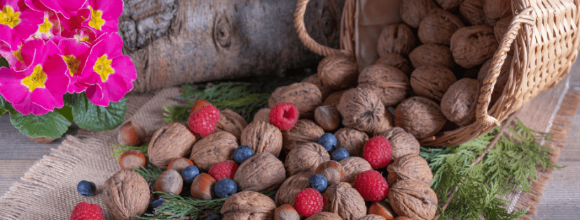 орехи -ягоды -цветы