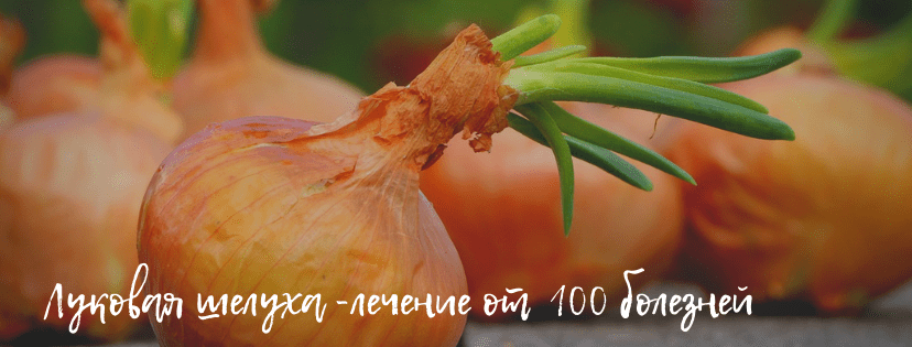 luk_лук